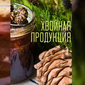 Хвойная продукция